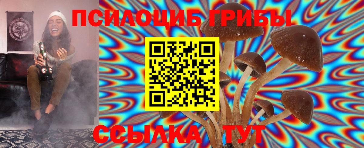Псилоцибиновые грибы прущие грибы  Галлюциногенные грибы мухоморы  хочу наркоту  Вход с VPN  Холмск 