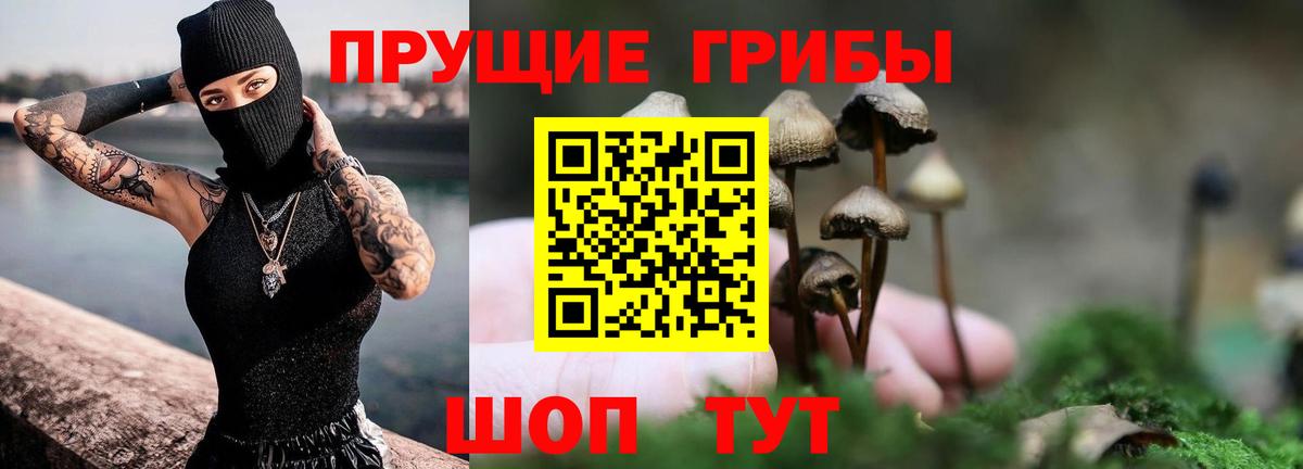 Псилоцибиновые грибы мухоморы Холмск